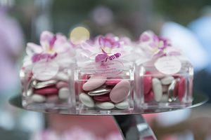 Photographe-ollioules-portraitiste-de-france-famille-enfant-bébé-mariage-toulon-var