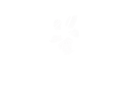 Photographe-ollioules-portraitiste-de-france-famille-enfant-bébé-mariage-toulon-var